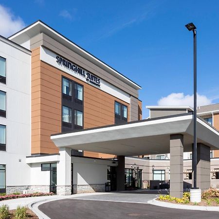 Springhill Suites Minneapolis Maple Grove/Arbor Lakes Exterior foto